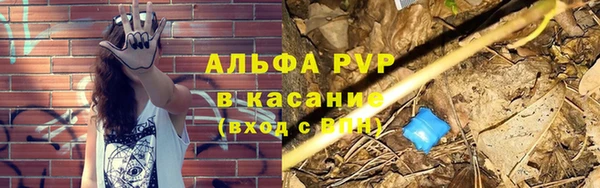 ПСИЛОЦИБИНОВЫЕ ГРИБЫ Горно-Алтайск