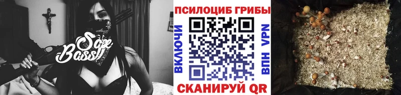 Псилоцибиновые грибы Psilocybine cubensis Поронайск