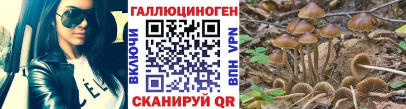 дарнет шоп  Поронайск  Галлюциногенные грибы Psilocybine cubensis 